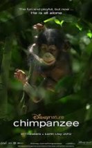 Şempanze Belgeseli izle (Chimpanzee) 2012